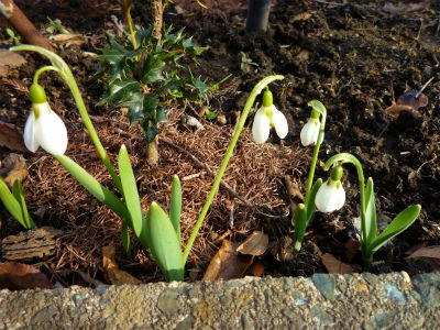 2012-03-27 004