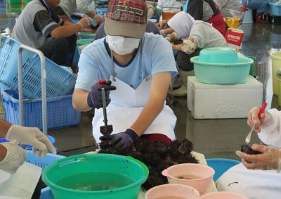 jpg2_400