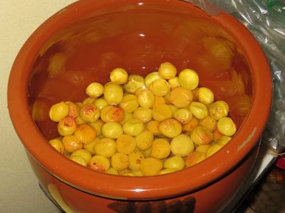 IMG_2753_400