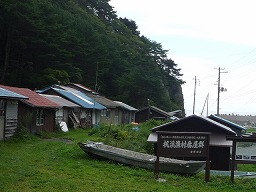 f63011b2.jpg