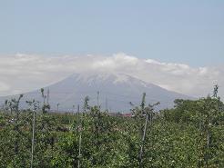 f64c9842.jpg