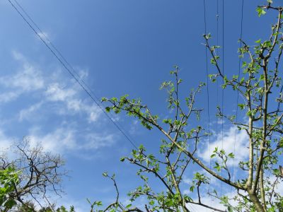 IMG_5733_400