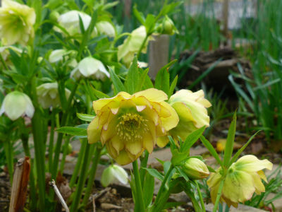 2015-04-10 001