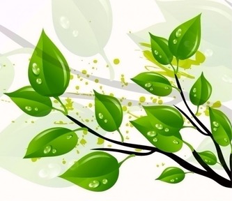 abstract-green-leaves-vector-illustration_53-8635