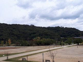 20181031_122406.jpg2