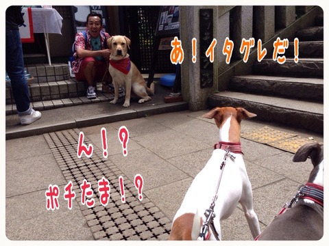 2015-06-29-20-31-41