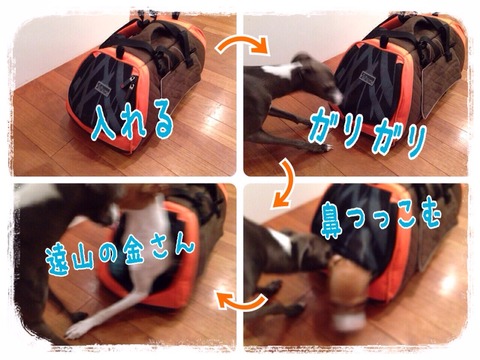 2015-01-22-22-11-12