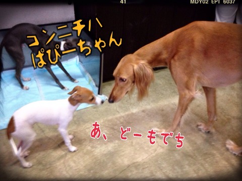 2014-10-08-21-33-00