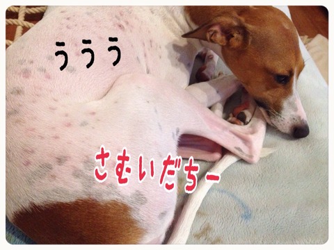 2015-08-25-22-28-00