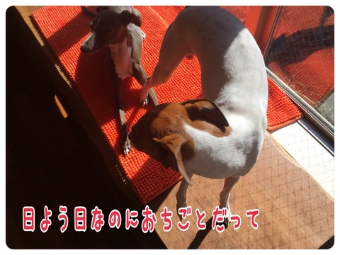 2015-12-06-22-36-38
