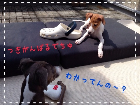 2014-09-03-10-46-18