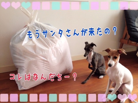 2014-11-17-20-38-39