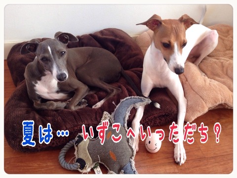 2015-08-25-22-25-07