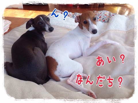 2014-12-28-22-19-09
