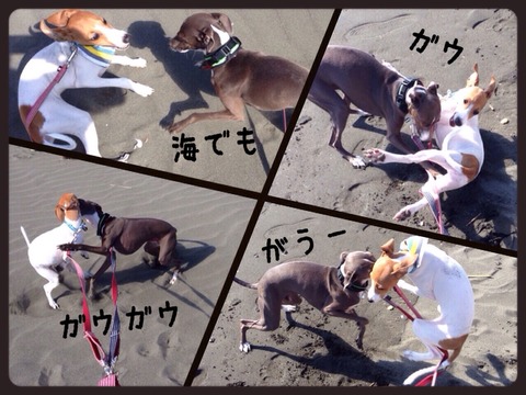 2014-10-04-01-22-19