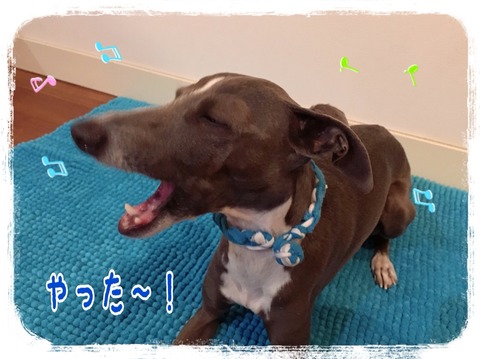 2016-01-11-23-21-05