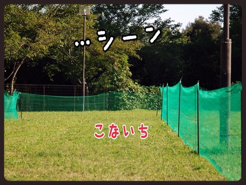 2014-10-19-23-08-41