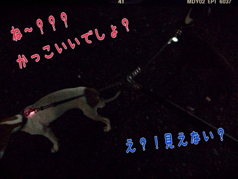 2014-10-17-21-20-34