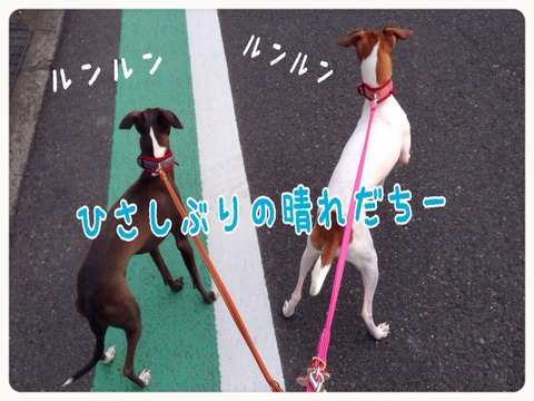 2015-04-09-21-20-58