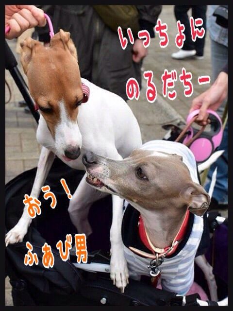 2015-04-13-20-13-29