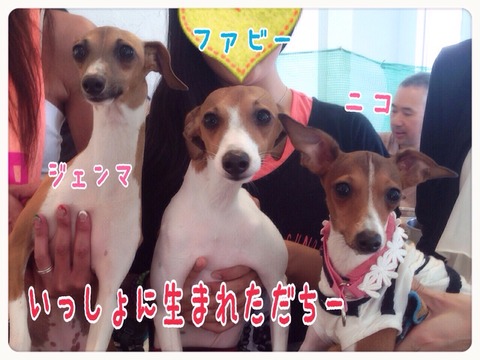 2015-07-29-22-00-40