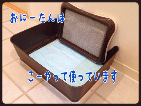 2015-01-31-23-02-23