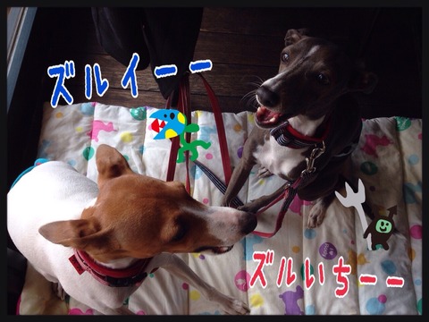 2015-02-15-22-51-21