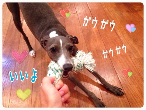 2015-08-28-22-22-10