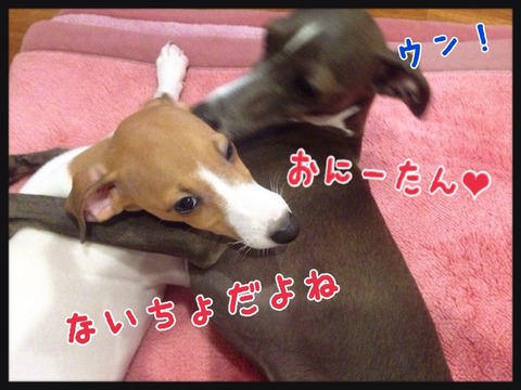 2014-09-02-05-33-59
