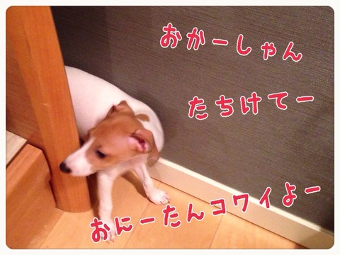 2014-09-02-05-29-20
