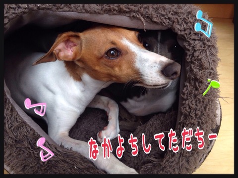 2015-05-27-22-55-45