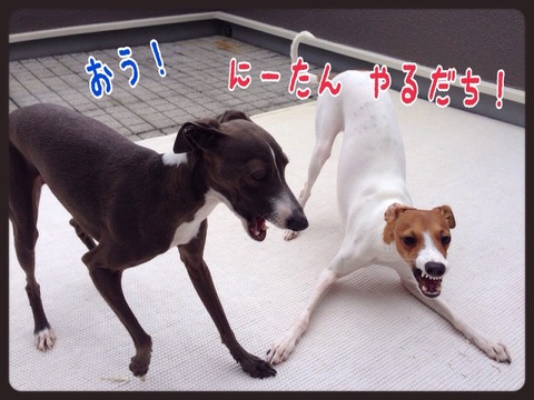 2015-04-20-21-38-07