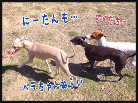 2015-07-31-00-00-57