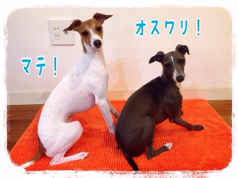 2015-06-22-23-42-54