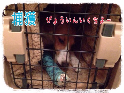 2015-01-21-21-33-59