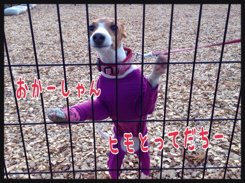 2015-01-28-22-45-25