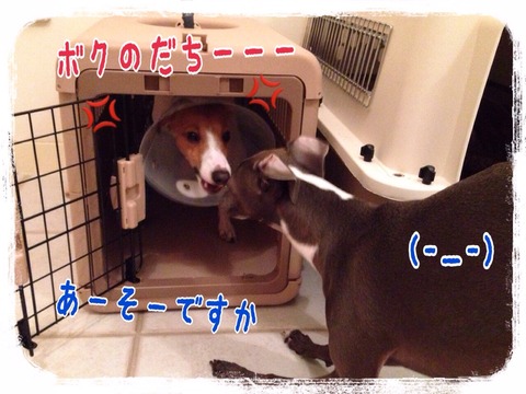 2015-01-21-21-26-34