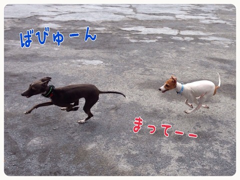 2014-10-02-18-53-22