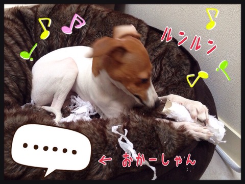 2015-01-06-22-50-52