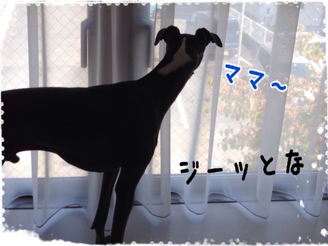 2014-09-22-10-58-14