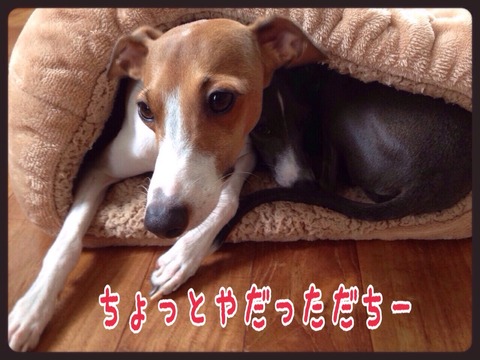 2015-08-30-22-49-26
