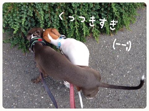 2014-10-02-16-28-43