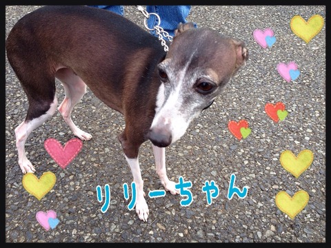 2014-10-12-22-07-07