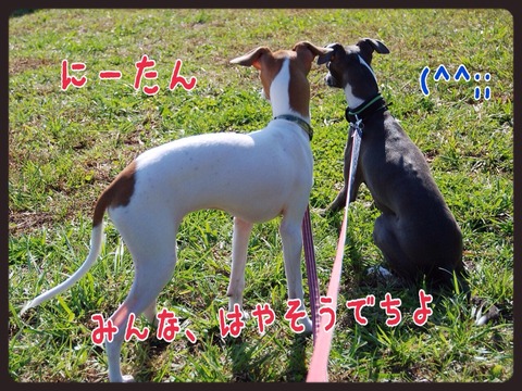 2014-10-19-22-30-43
