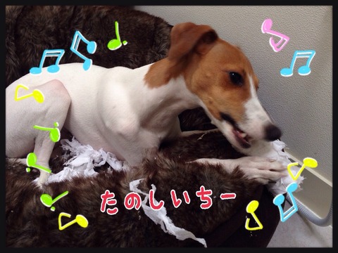 2015-01-06-22-45-03
