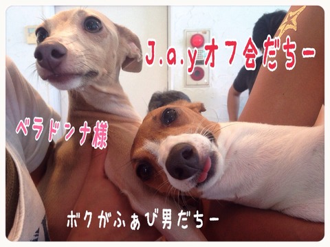 2015-07-29-22-06-58