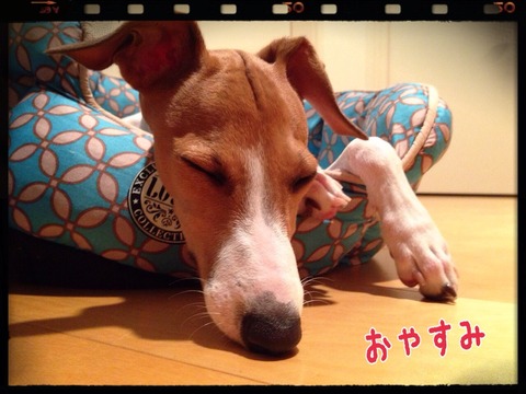 2014-10-09-23-10-50
