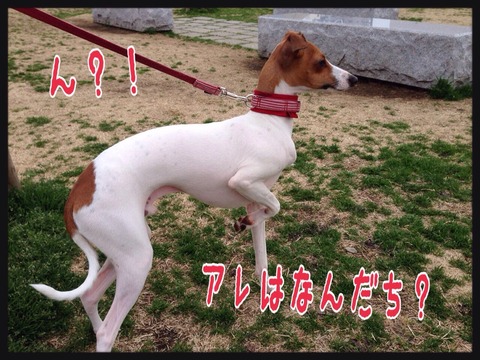 2015-04-18-22-41-02