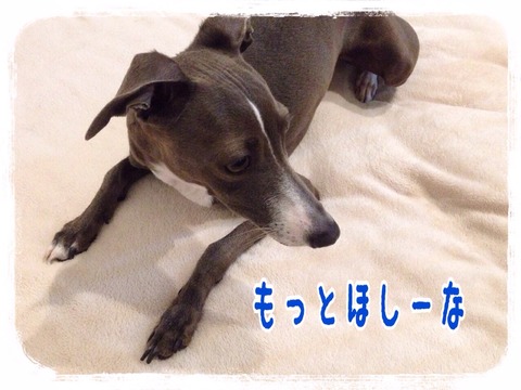 2015-06-22-23-39-00