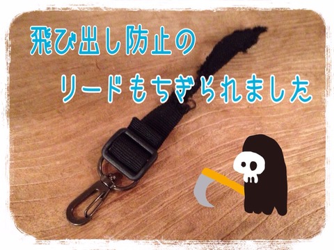 2015-01-21-20-57-56